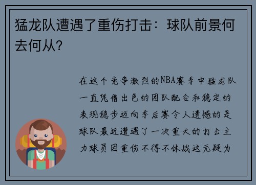 猛龙队遭遇了重伤打击：球队前景何去何从？